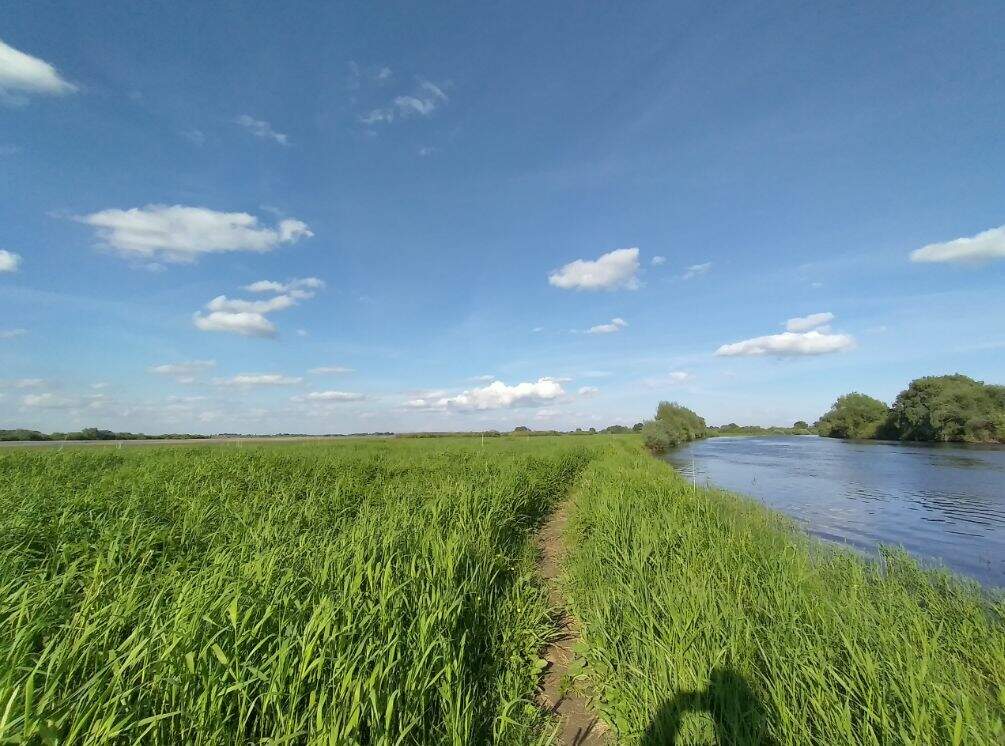Пешком вдоль реки Левошня - фото