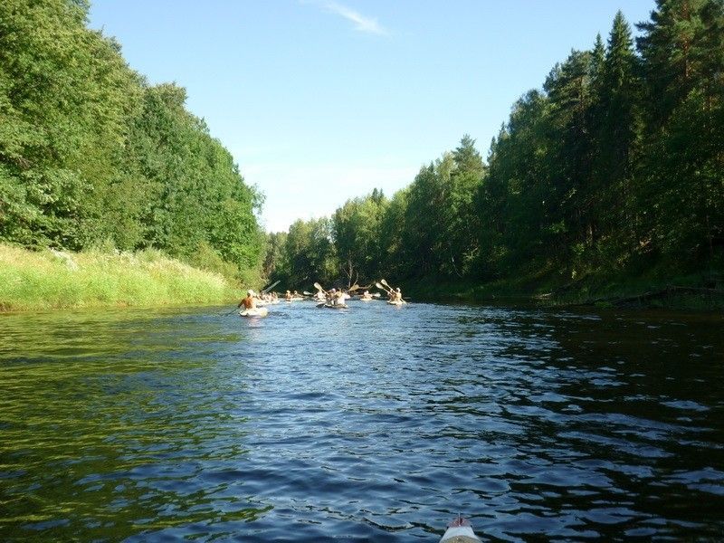 Водный по р. Керженец - фото