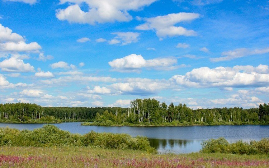 Из Иванцева в Иванково лесом и берегом - фото