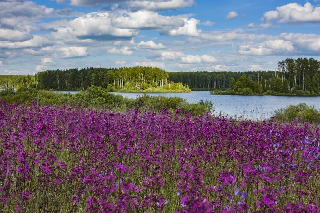 Из Иванцева в Иванково лесом и берегом - фото