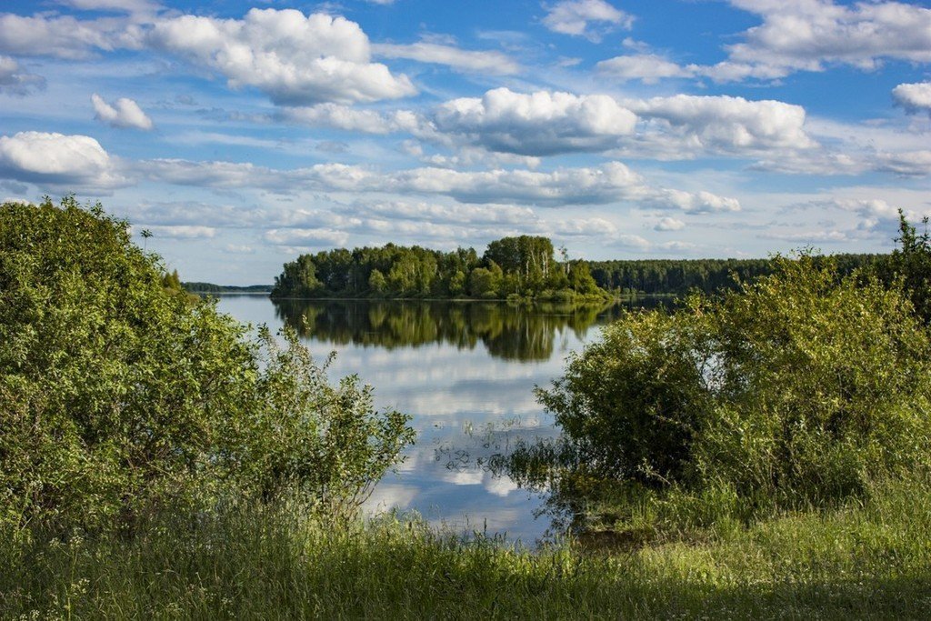 Из Иванцева в Иванково лесом и берегом - фото