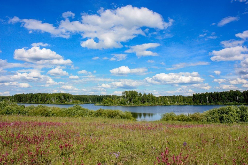 Из Иванцева в Иванково лесом и берегом - фото