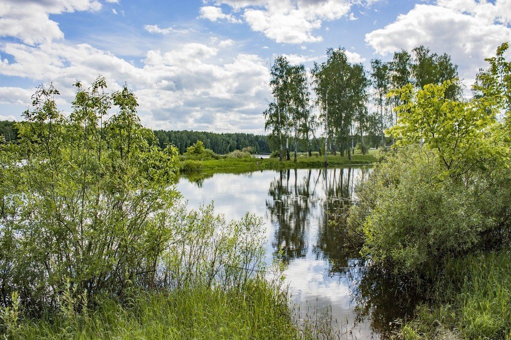 Из Иванцева в Иванково лесом и берегом - фото