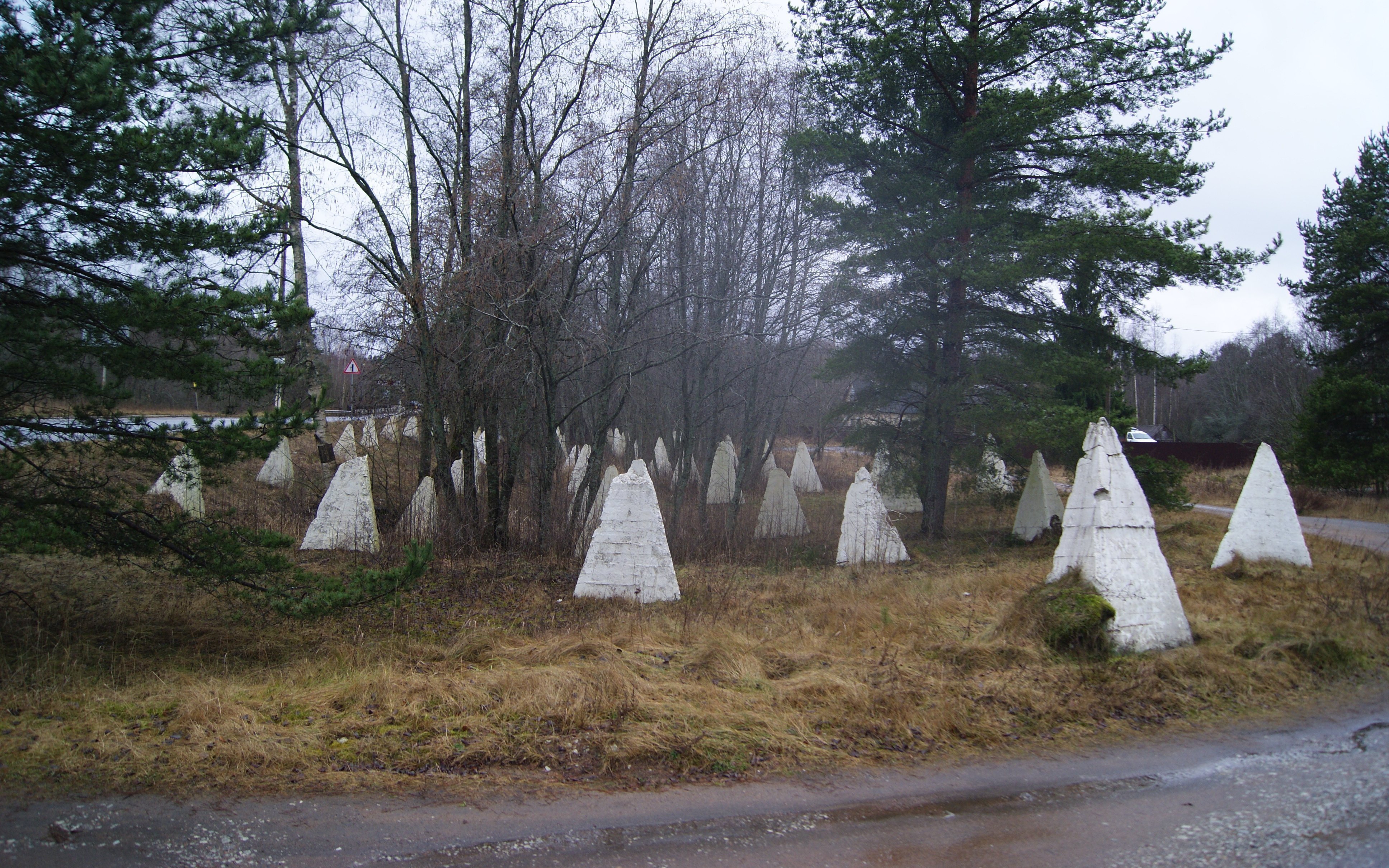 Зубы Дракона - фото