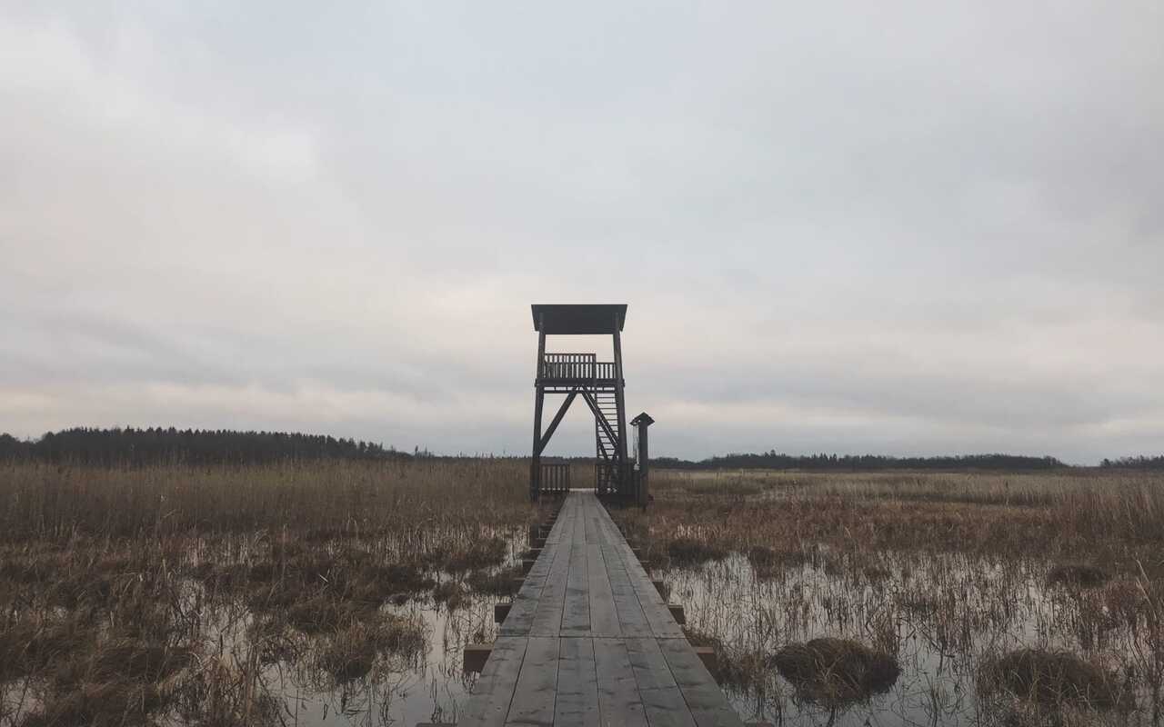 Природный заказник «Раковые озёра» - фото