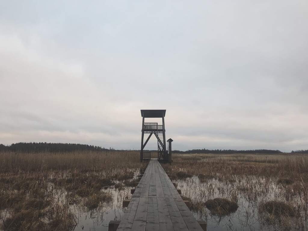 Природный заказник «Раковые озёра» - фото