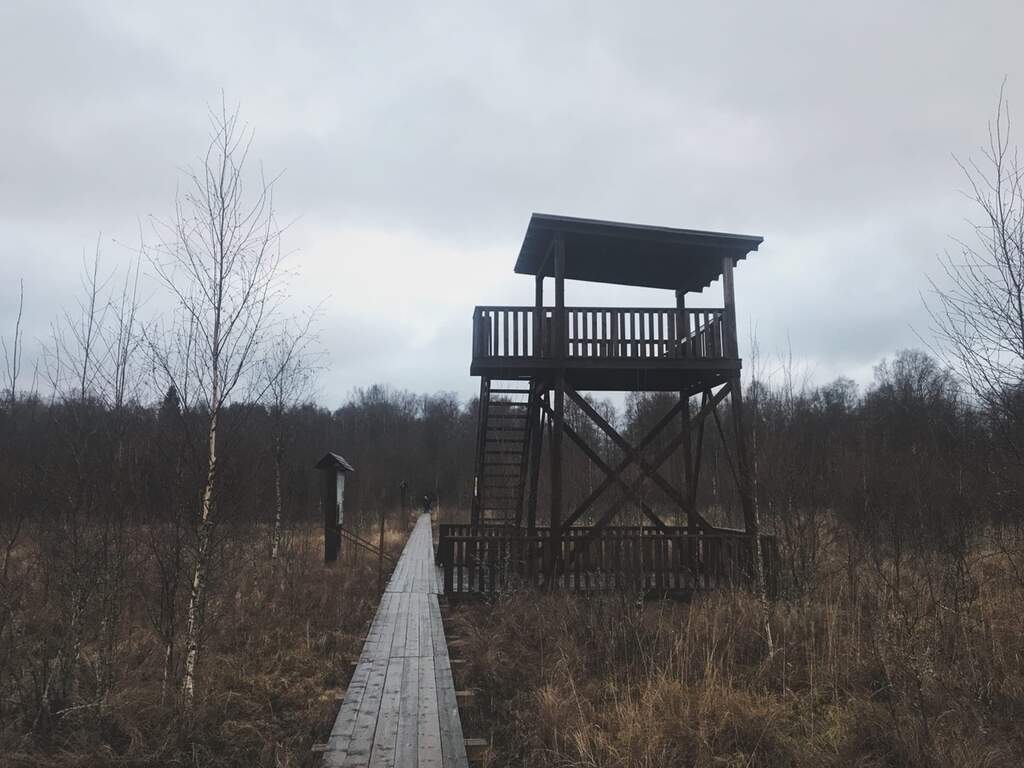 Природный заказник «Раковые озёра» - фото