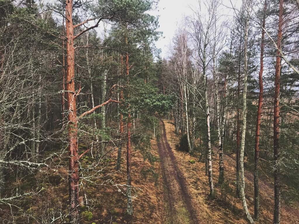 Природный заказник «Раковые озёра» - фото