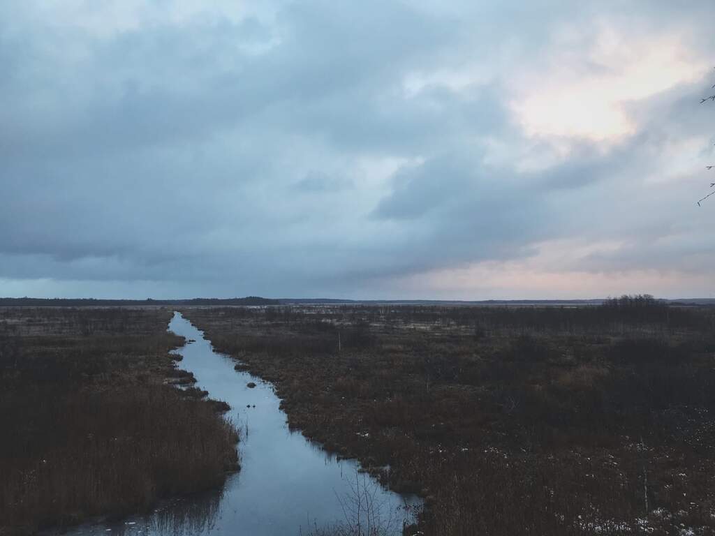 Природный заказник «Раковые озёра» - фото