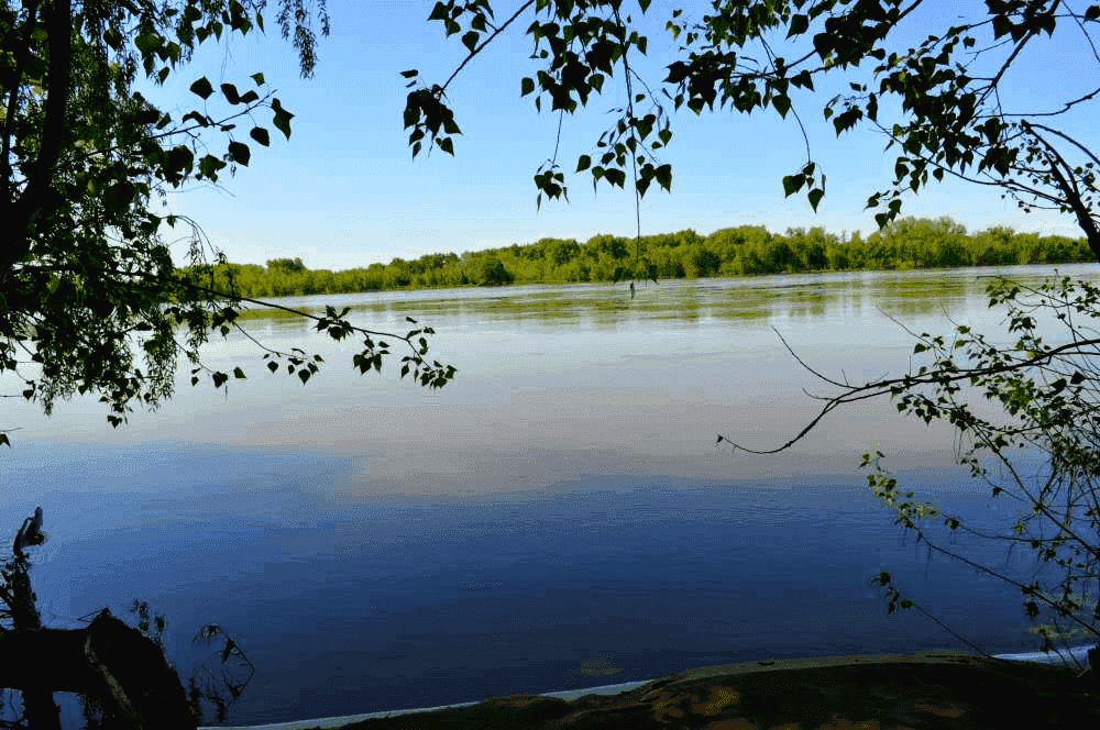 Турбаза ступино астраханская область официальный сайт фото