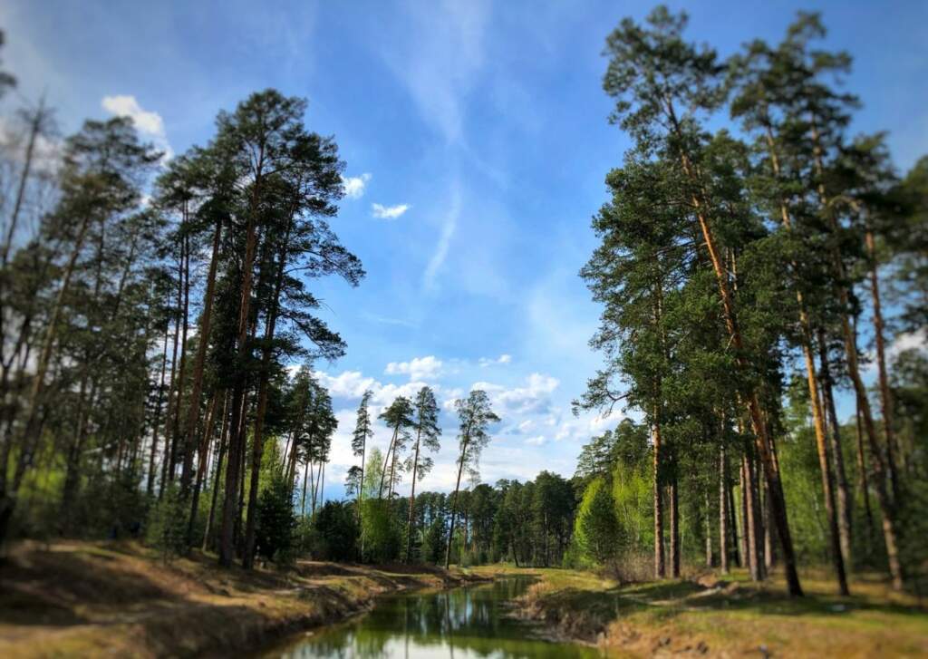 Лебяжье озеро в Казани - фото