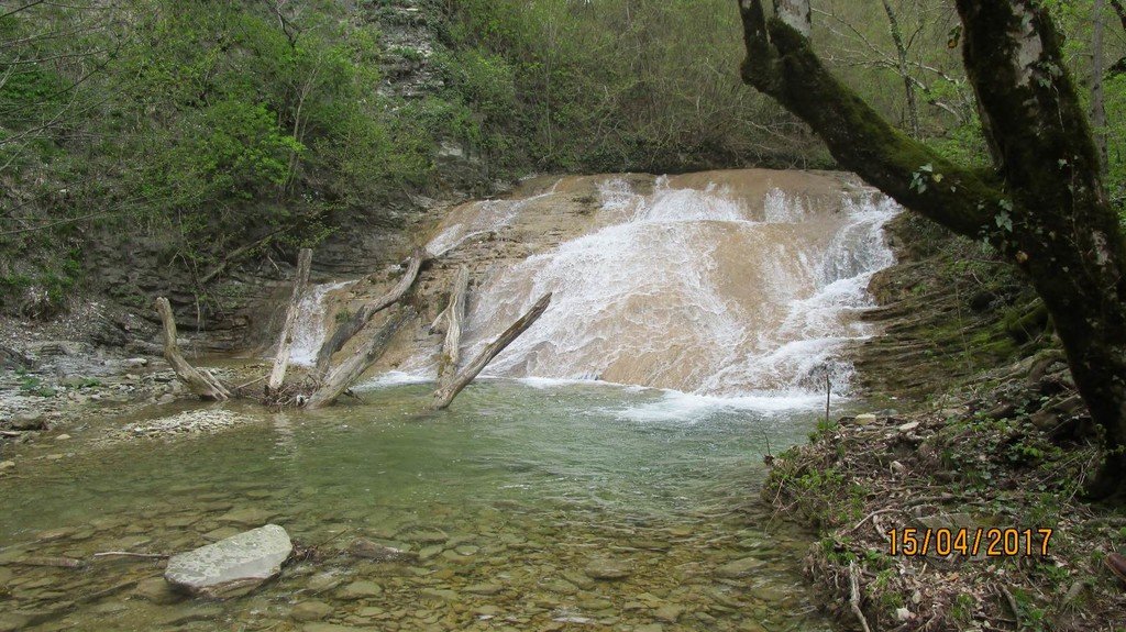 На правый рукав реки Жане - фото