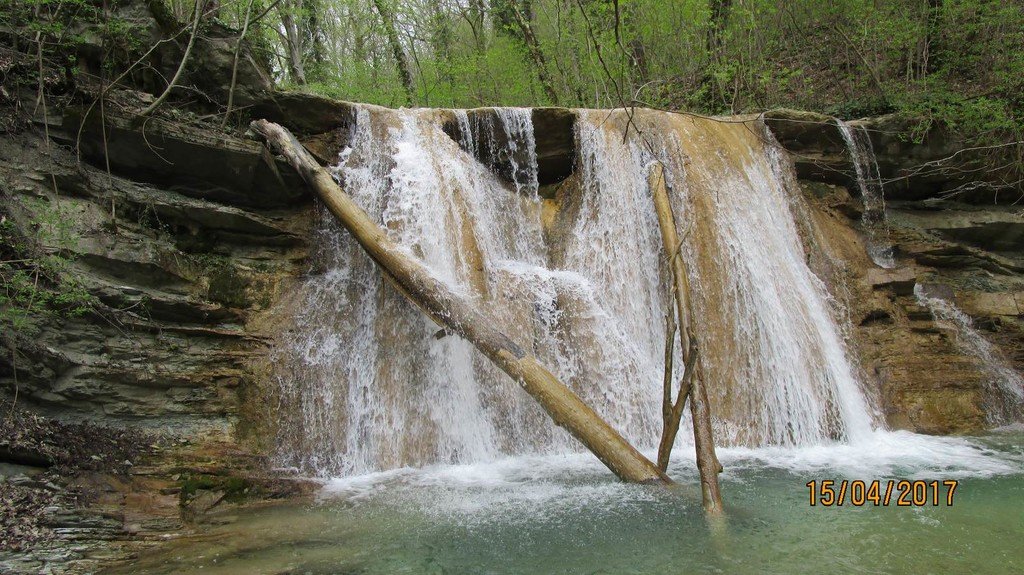 На правый рукав реки Жане - фото