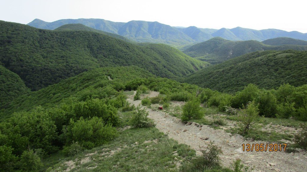 На левый рукав реки Жане - фото