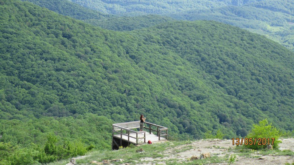 На левый рукав реки Жане - фото