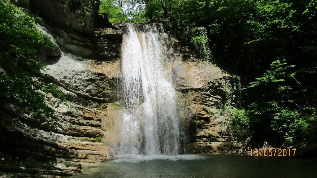 На левый рукав реки Жане - фото