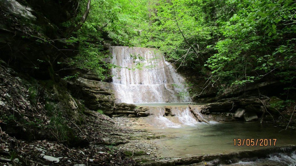 На левый рукав реки Жане - фото