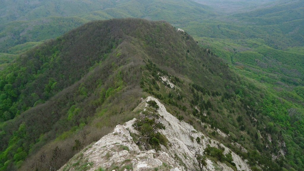 Папайская тропа - фото