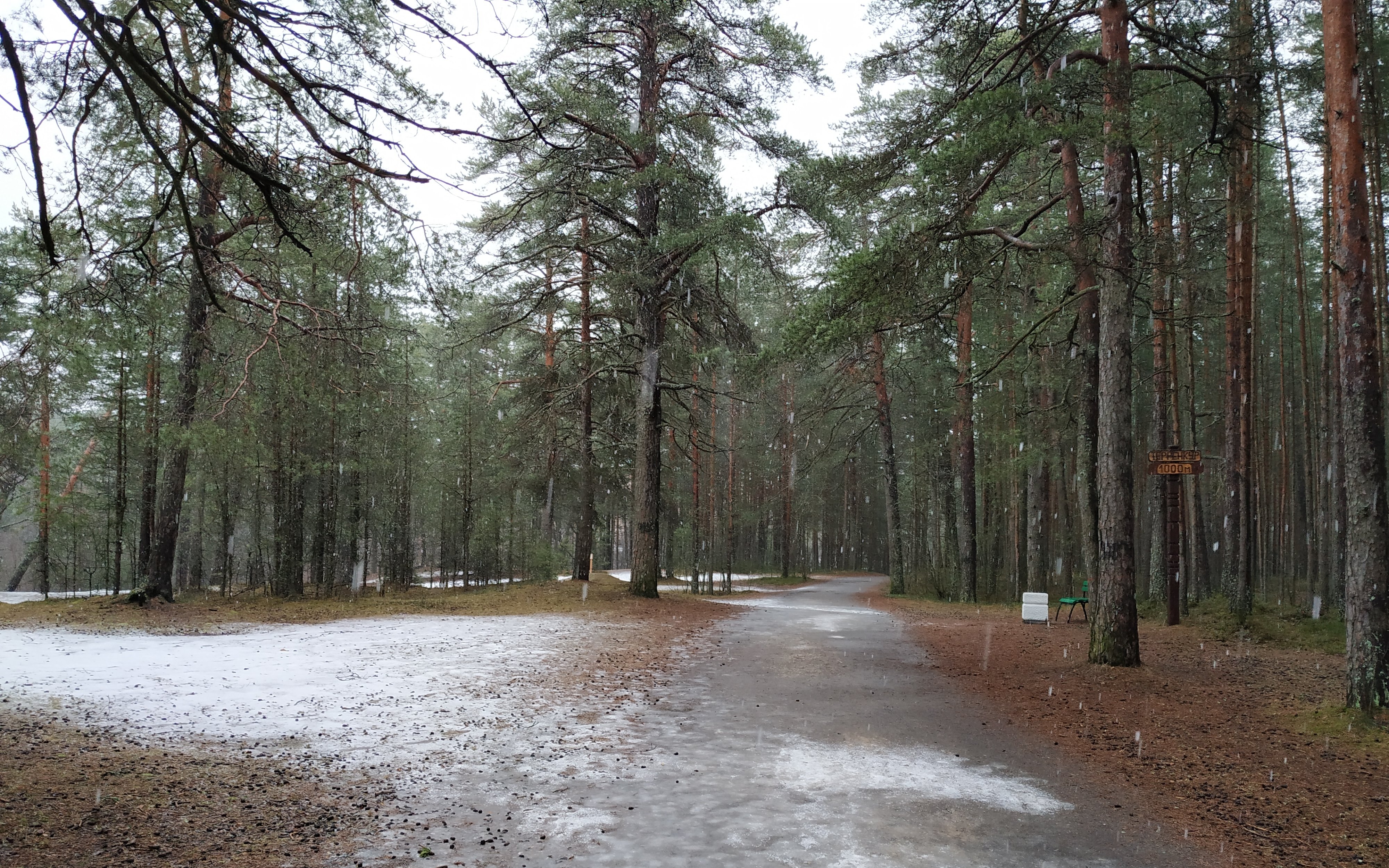 Терренкур в Сестрорецком курорте - фото