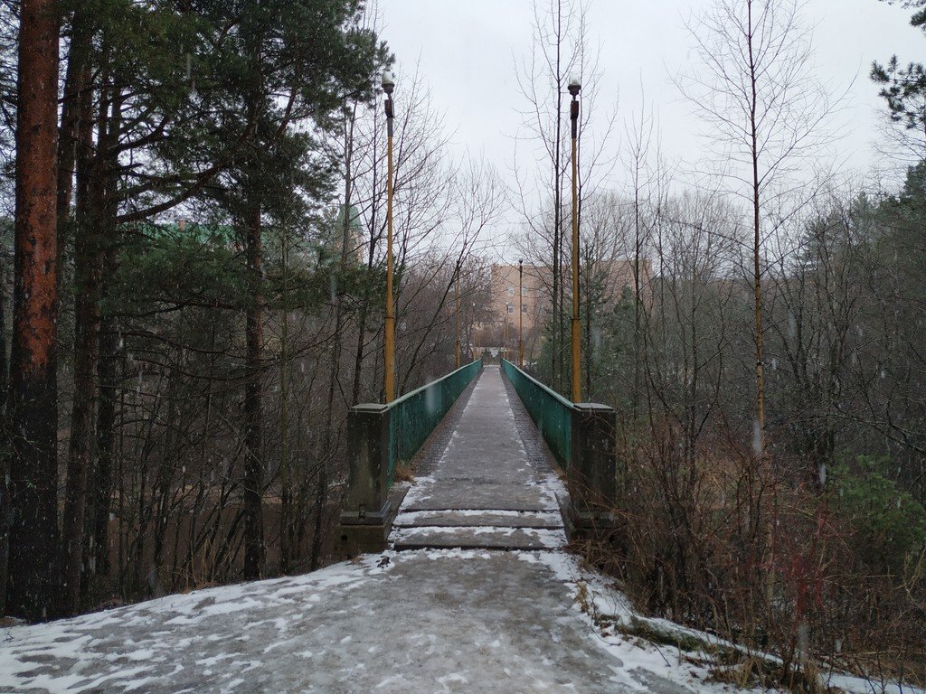 Парк терренкур сестрорецк