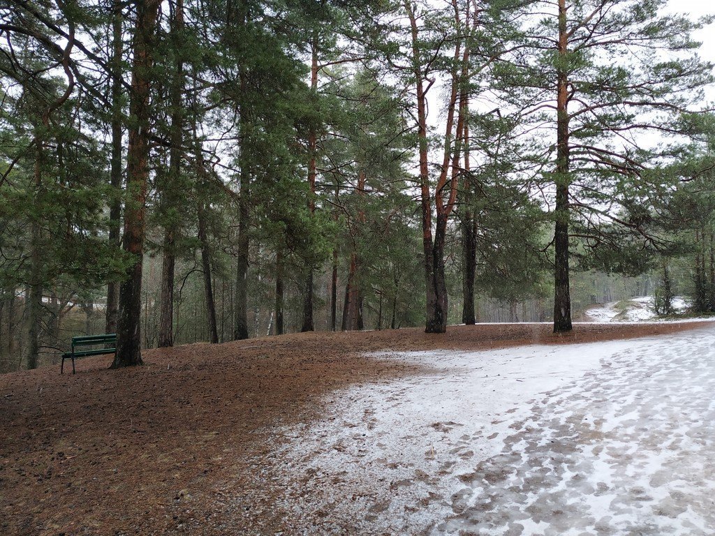 Парк терренкур сестрорецк