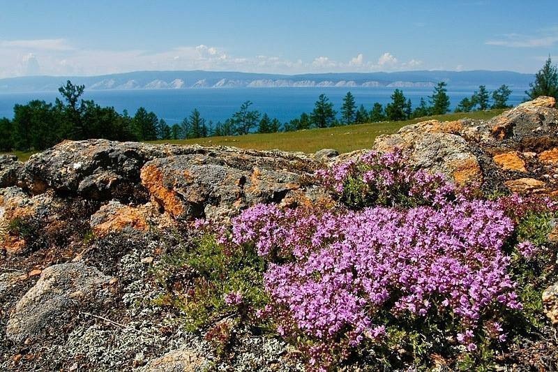 Кабардинка - Голубая Бухта  - Виноградное - Кабардинка - фото