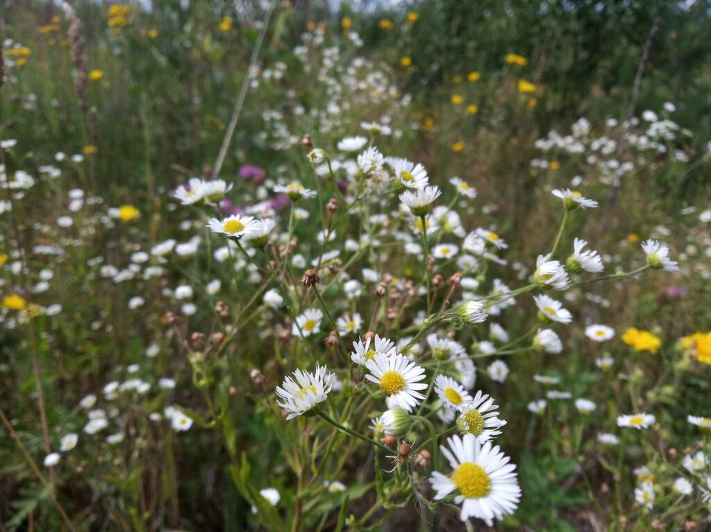 Веломаршрут "Три реки" - фото