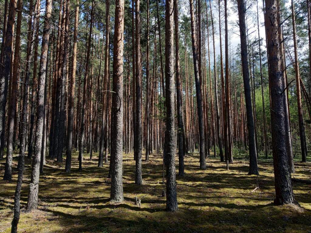 Веломаршрут "Три реки" - фото