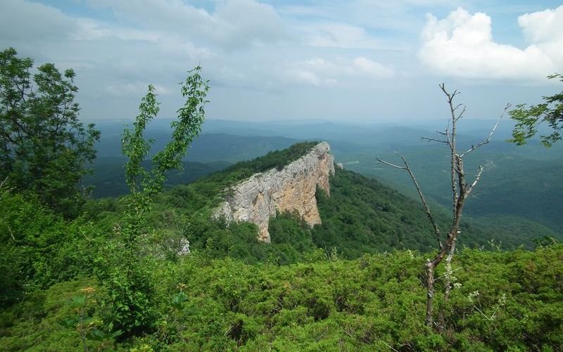 Из Ялты на гору Басман - фото