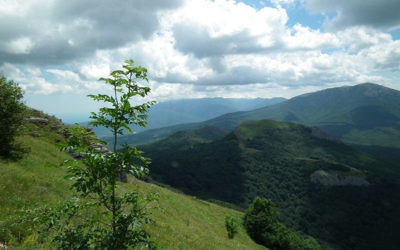 Курлюк-Баш - Северная Демерджи - фото