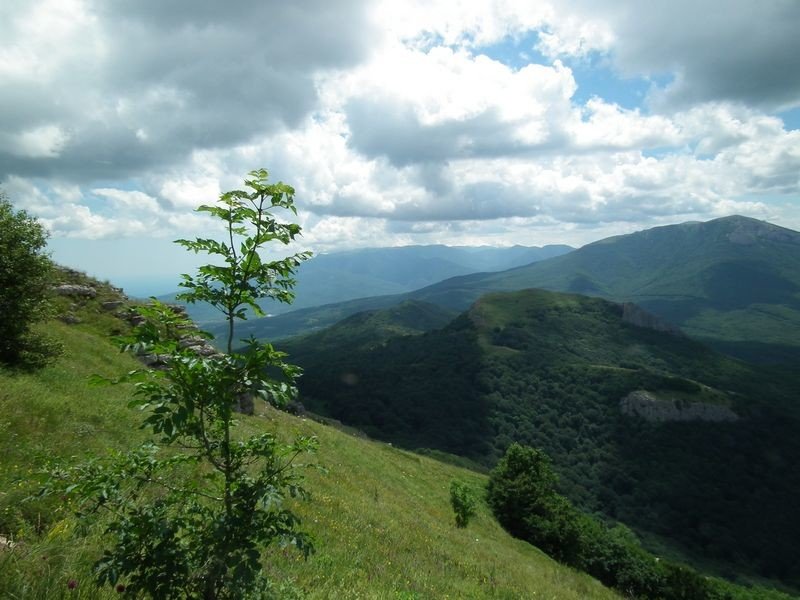 Курлюк-Баш - Северная Демерджи - фото