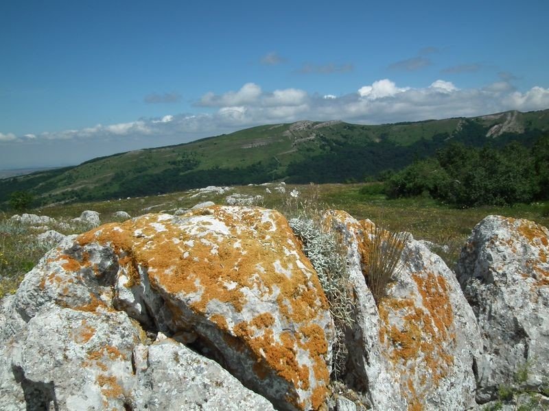 Курлюк-Баш - Северная Демерджи - фото