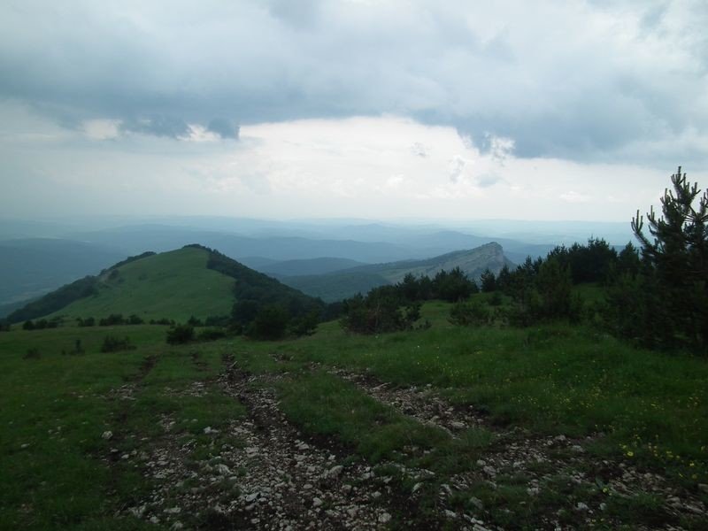 Из Ялты на гору Басман - фото