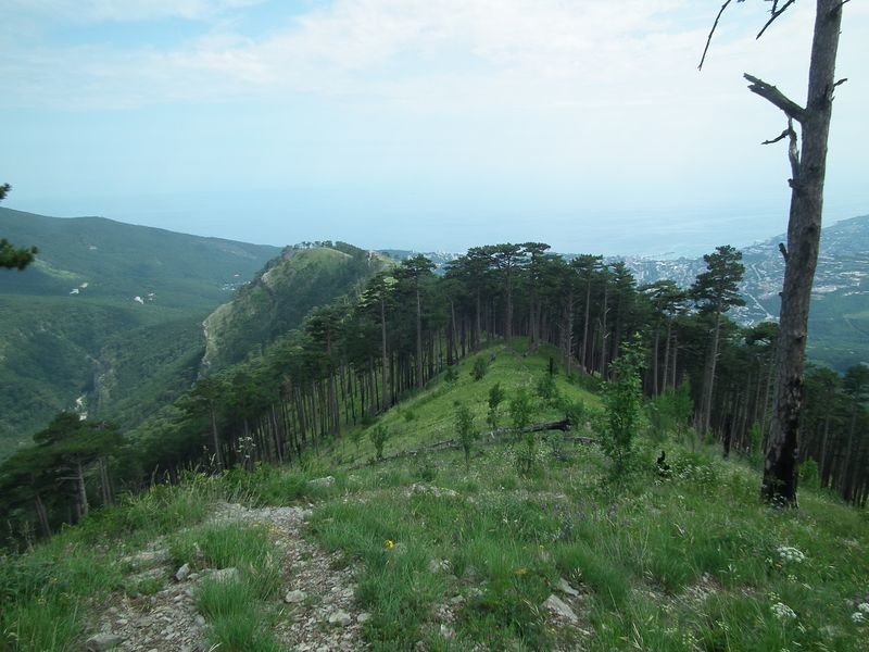 Из Ялты на гору Басман - фото