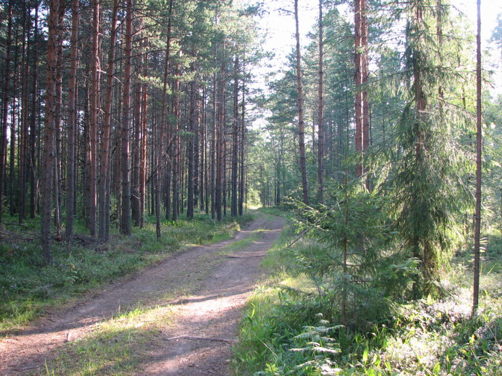 90 по северной Пуе - фото