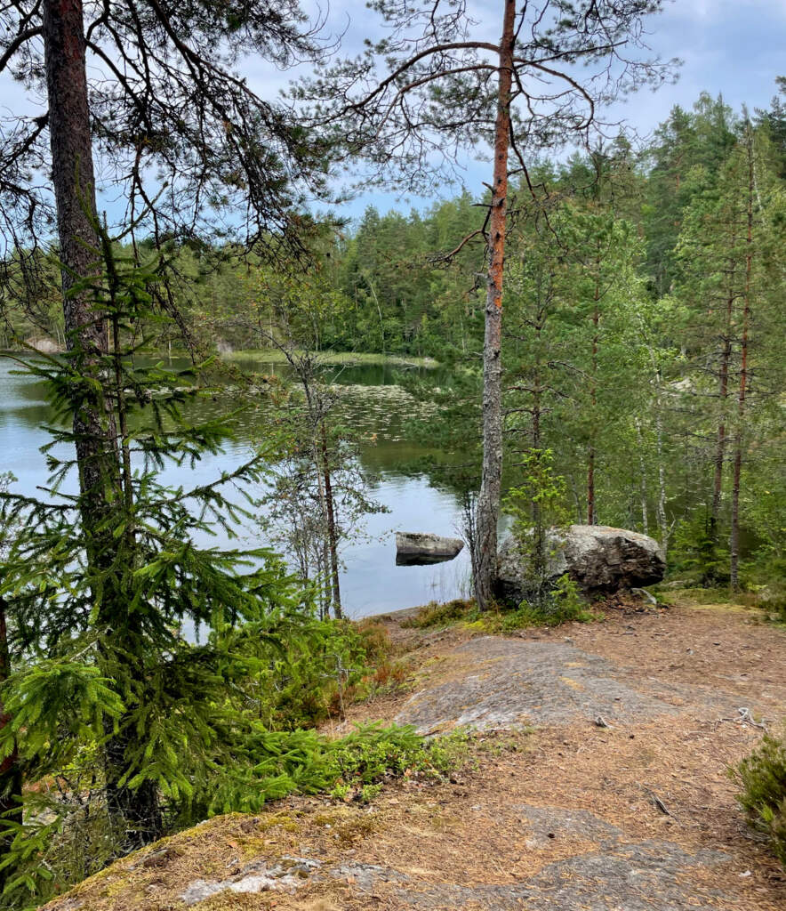 ХоШиМина Кузнечное-Куликово_2025 - фото