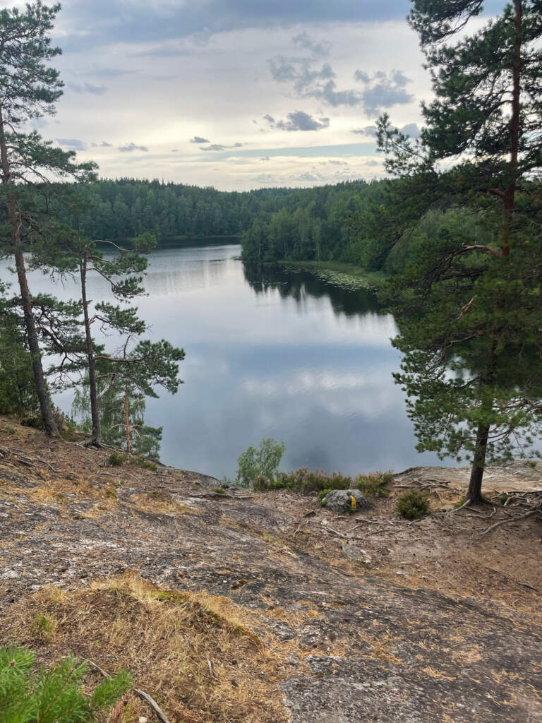 ХоШиМина Кузнечное-Куликово_2025 - фото