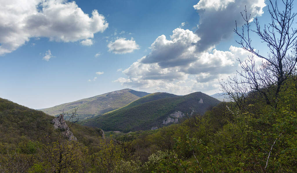 Через Караби к морю - фото