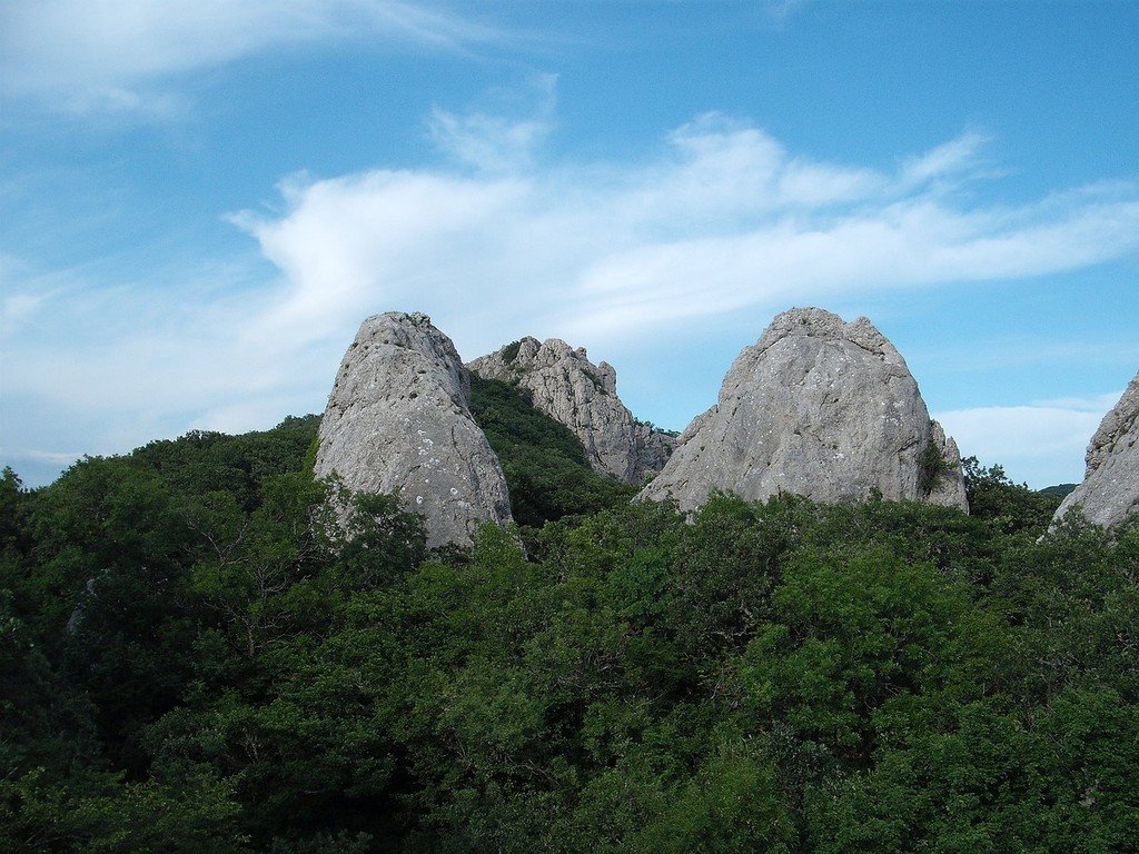 Балаклава - Инжир - Ласпи - фото