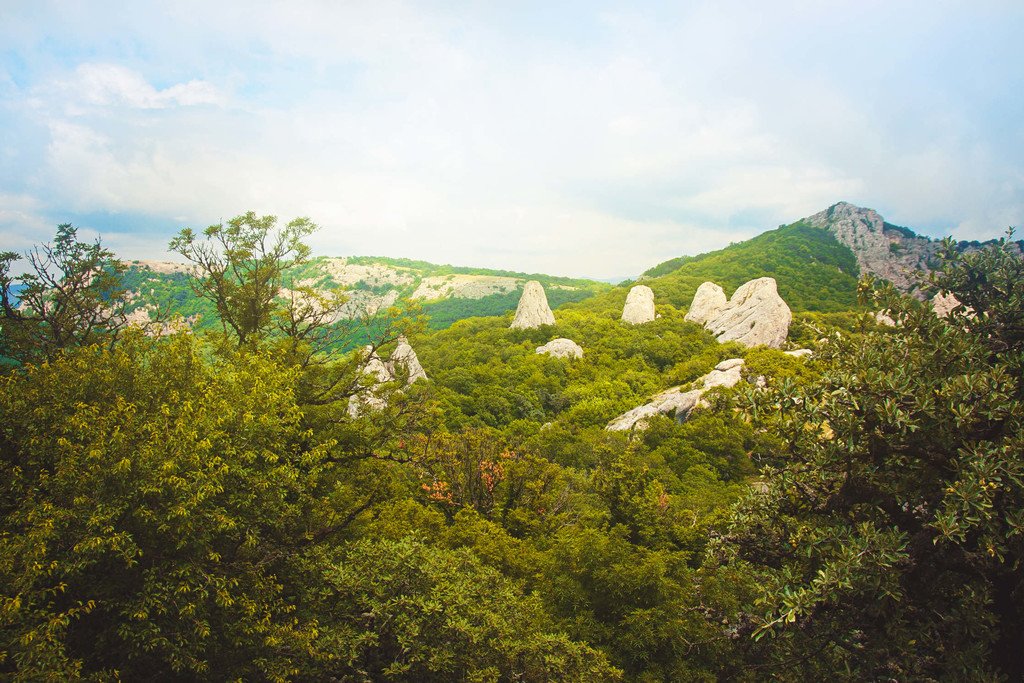 Балаклава - Инжир - Ласпи - фото