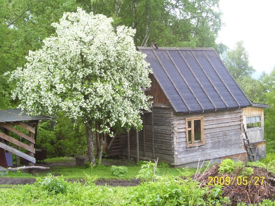 Водно-пеший эколого-просветительский маршрут «Белинская терраса» - фото