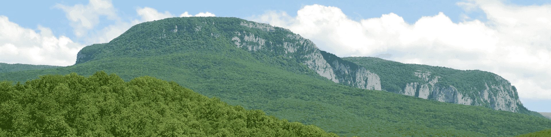 Гора бойко в крыму фото