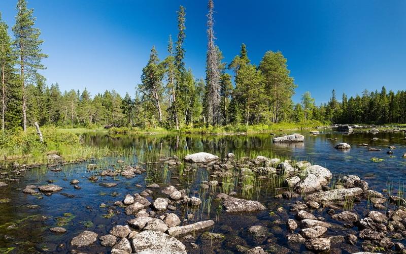 Сплав по реке Каменной - фото