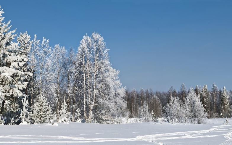 Снегоходная прогулка по "Тропе предков" - фото