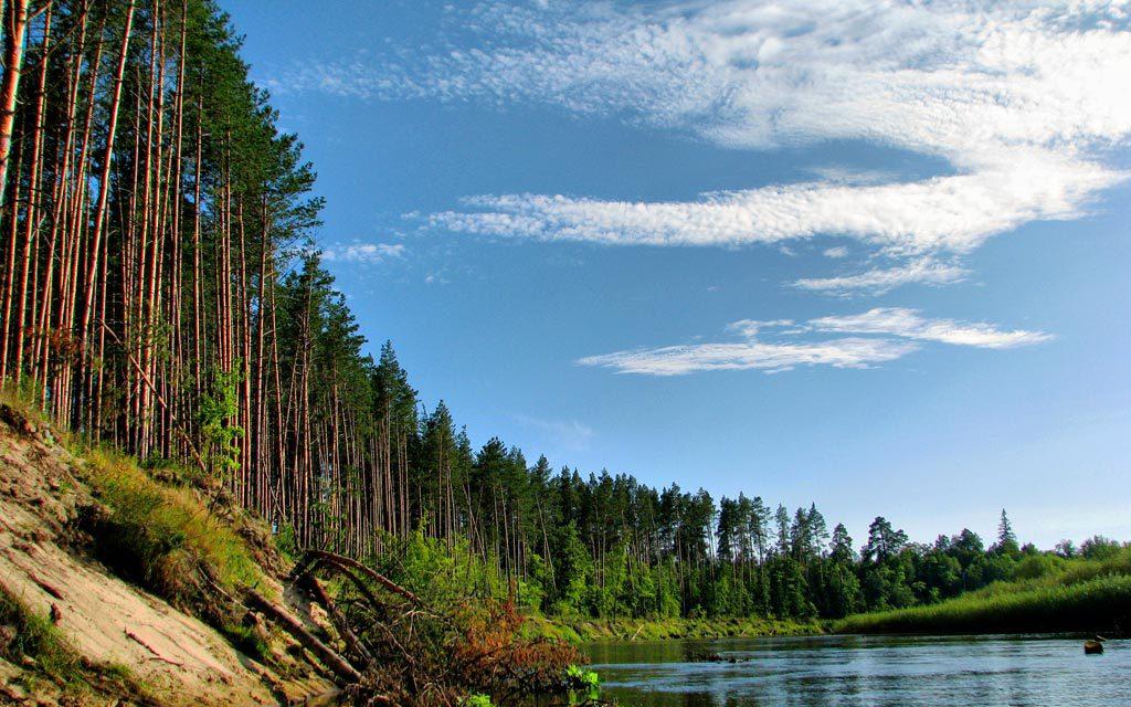 К озеру Соленое - фото