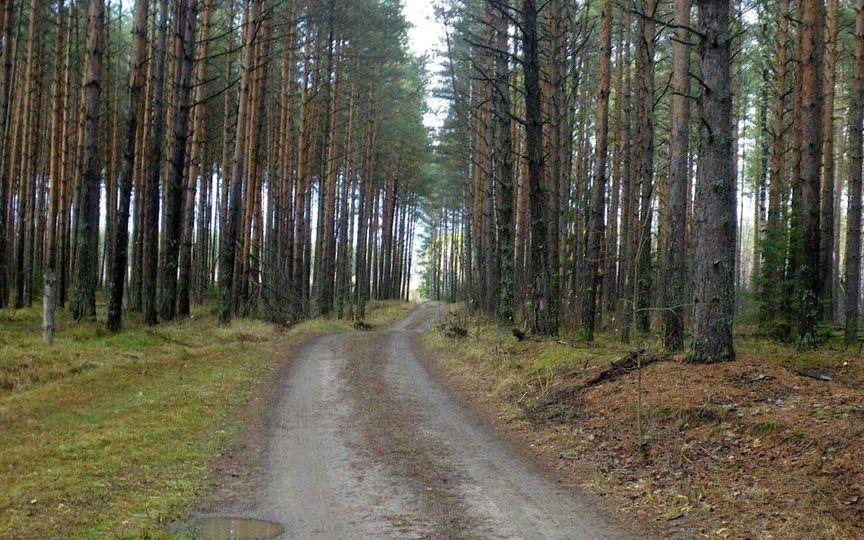 Аргуновская волость - фото