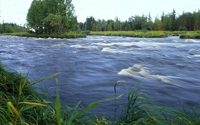 Сплав по рекам Вама - Водла - фото