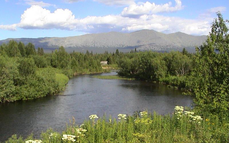 По южной границе заповедника "Вишерский" - фото