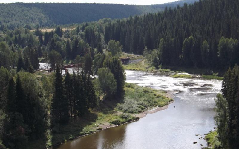 Сплав по реке Сулем - фото