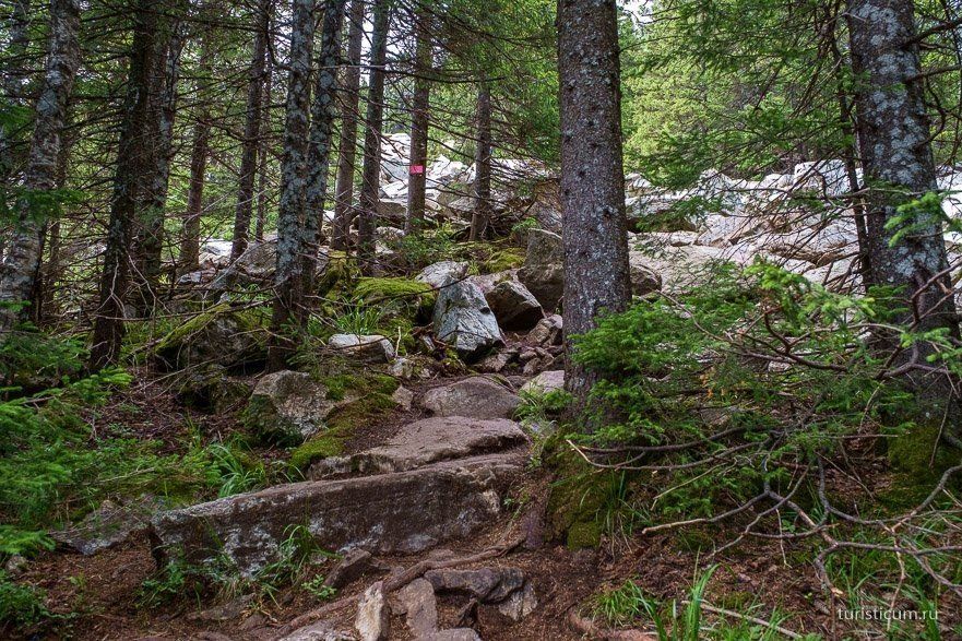 По Экологической тропе на хребет Зюраткуль - фото